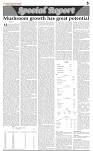 Special-Report